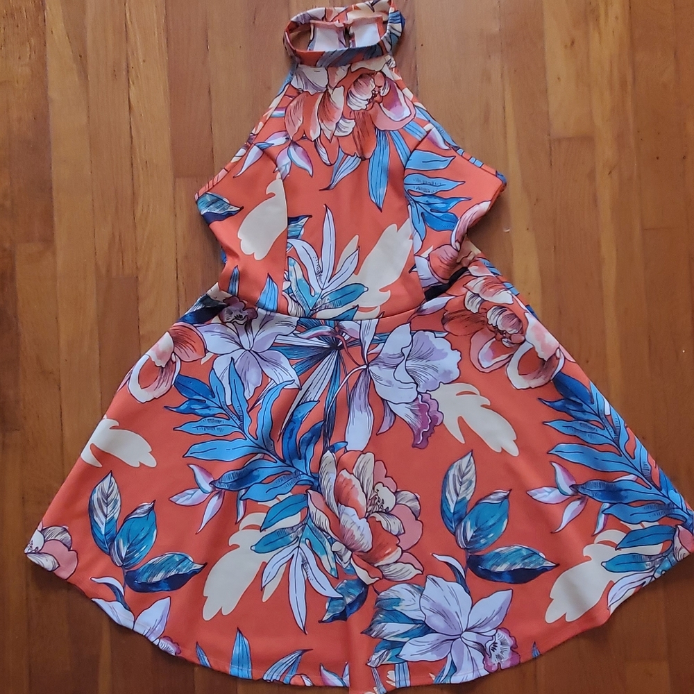 Charlotte Russe skater dress (large)